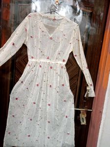 Sheer Embroidered Floral Mini Dress