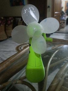 Fan