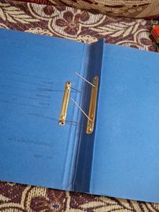 Camel Colour Pencil artica plastic crayons.(all3)
