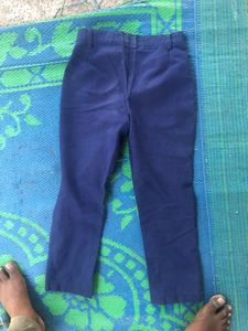 Men's Navy Blue Casual Pants