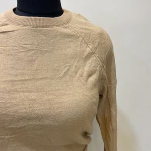 Light Brown Top Trending