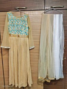 Designer Embellished Ethnic Gown