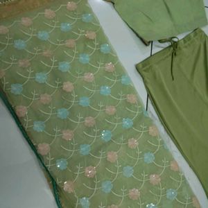 Green saree blouse with petticoat