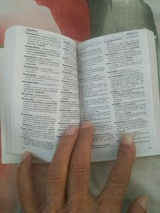 Pocket Dictionary