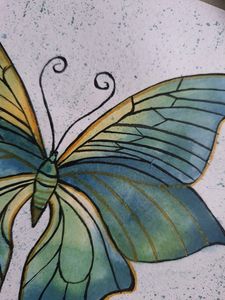 butterfly painting🦋