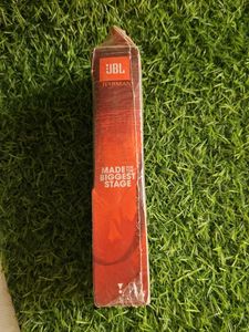 JBL T160 In-Ear Headphones blue