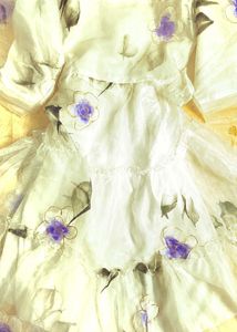 Organza dress light academia aesthetics