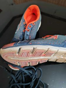 Sheo (The Product Price U Can Fix)