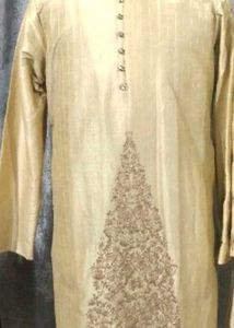 Elegant Men's Kurta with Embroidery