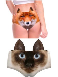 3D Cute Animal Face Panties