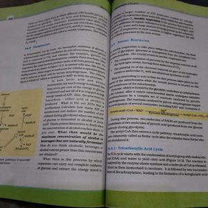 Biology Textbook for Class XI, XII