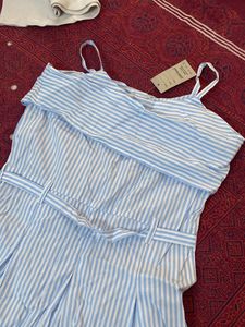 Cute Dress
