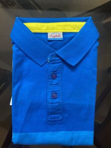 Men's Blue Striped Polo T-Shirt