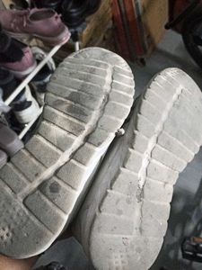 Puma Sports Shoes