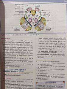 Medical Textbook-vishram Singh
