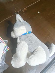 Husky plushy