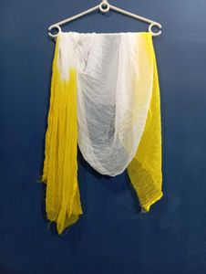 Set of 4 Colorful Dupattas