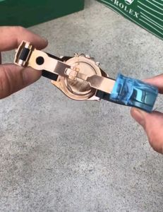 Rolex Tiger