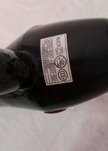 Compact Professional Hair Dryer with 2 Styling Att