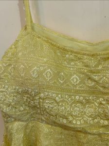 Short Chikankari Kurti