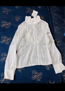 Organza Sheer Stiff Collar Top
