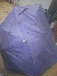Purple Umbrella