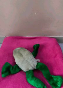 Green Plush Frog