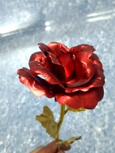 Golden stem Rose