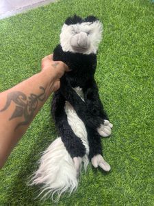 Cute Monkey Plush
