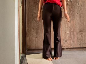 Classic Brown Trousers