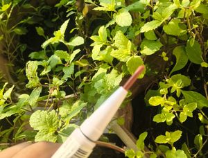 Zudio 2-in-1 Lipstick