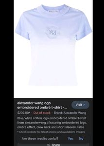 ALEXANDER WANG  Ogo Embroidered Ombre T-Shirt Pink