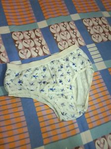 Panty L Size