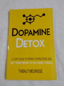 DONT BELIEVE EVERYTHING YOU THING DOPAMINE DETOX C