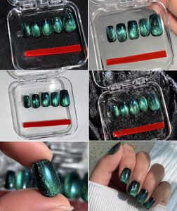Cat Eye Press-On Nails