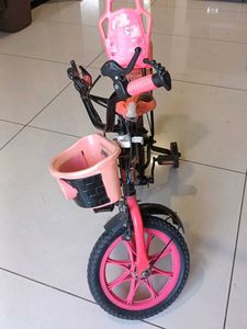 Kids Bicycle with Training Wheels