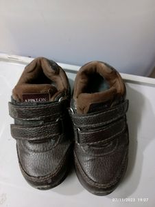 Toddler Brown Appalon Sneakers