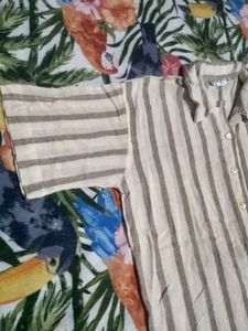Striped Button-Down Shirt
