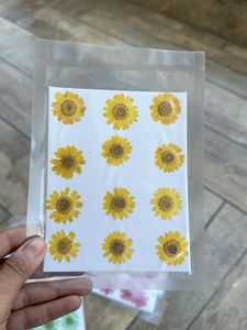 Pressed Daisies Sheets Combo