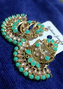 Exquisite Leaf Design Earrings
