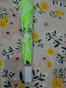 Umbrella