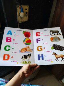 Fun Illustrated Alphabet book