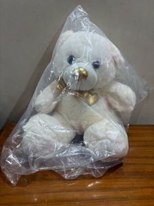Cute Cream Teddy Bear