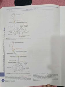 human Anatomy Workbook Volumes 5 &amp; 6