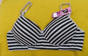 310 -- Striped Padded Bra