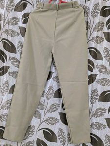 Beige Pleated Trousers - Classic Style