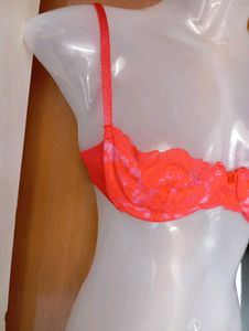 Lace Sheer Underwire Bra