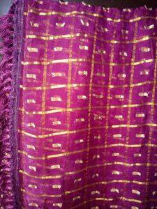 Purple &amp; Gold Checkered saree