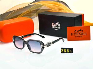 Hermes Designer Sunglasses