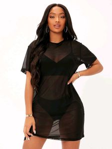 Sheer Mesh Mini Dress